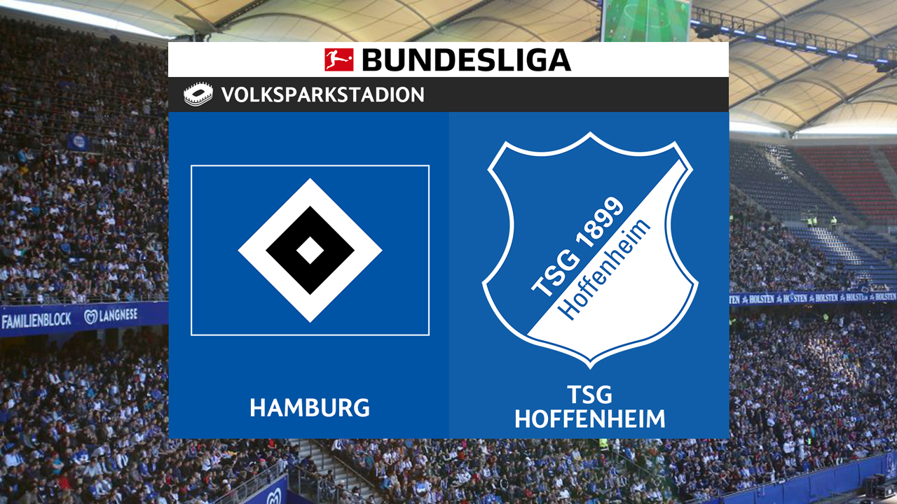 Hamburg vs Hoffenheim poster