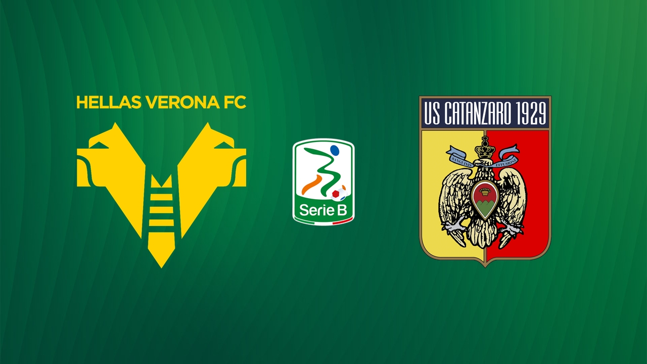 Hellas Verona vs Catanzaro poster