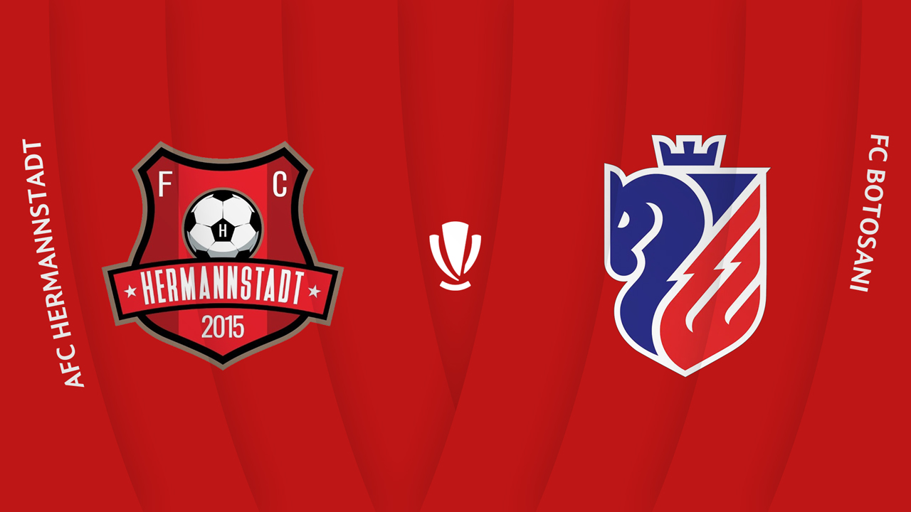 Hermannstadt vs Botoșani poster