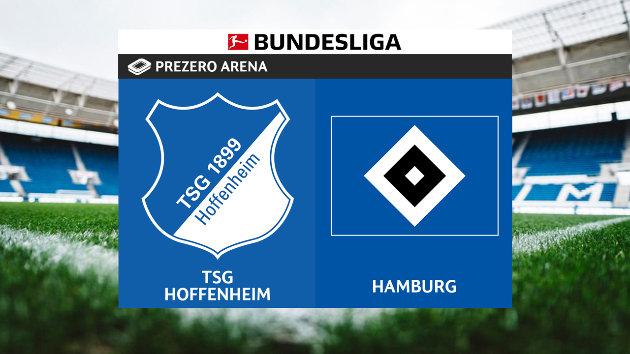 Hoffenheim vs Hamburg poster