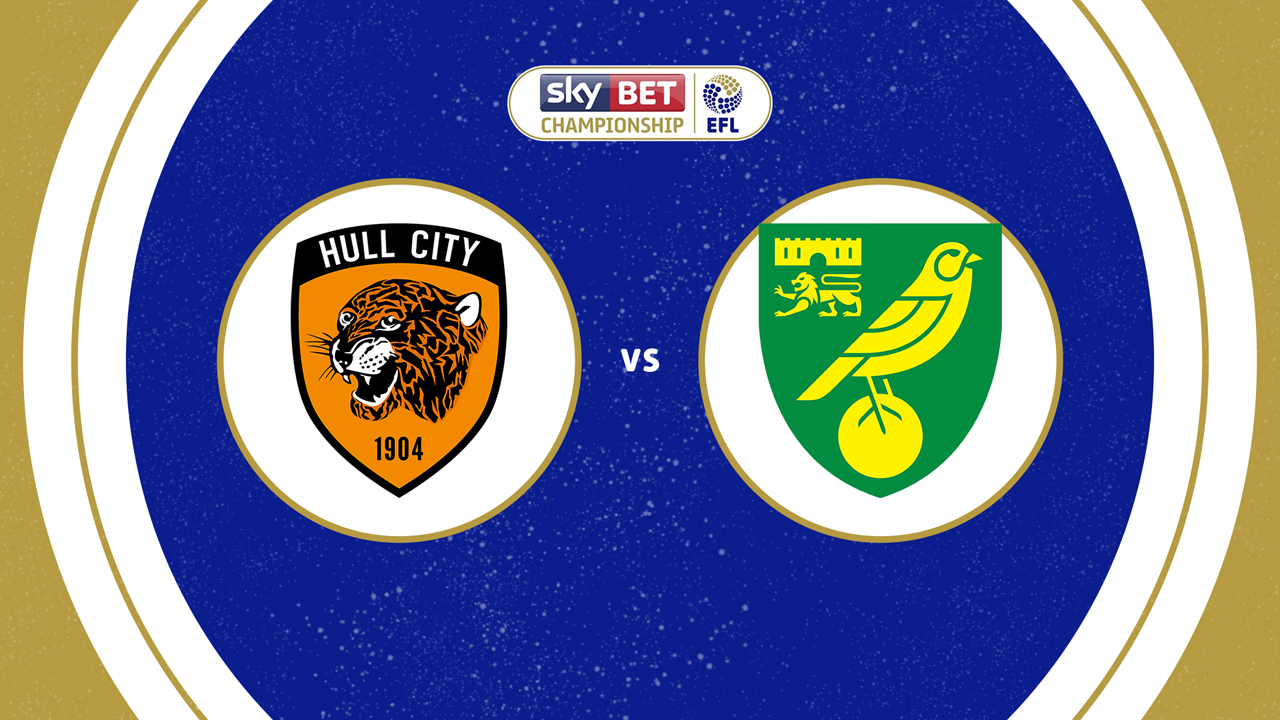Hull City vs Norwich City poster