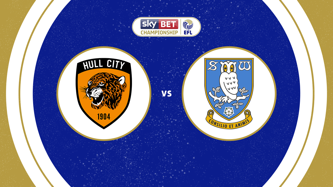 Hull City vs Sheffield Wednesday poster
