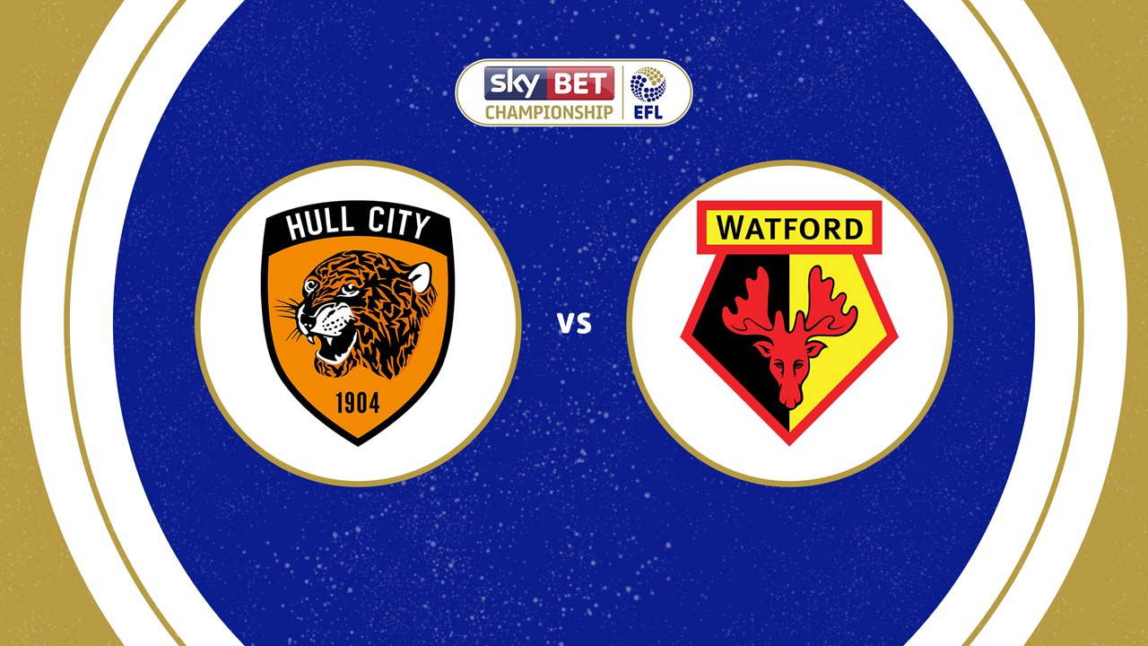Hull City vs Watford poster