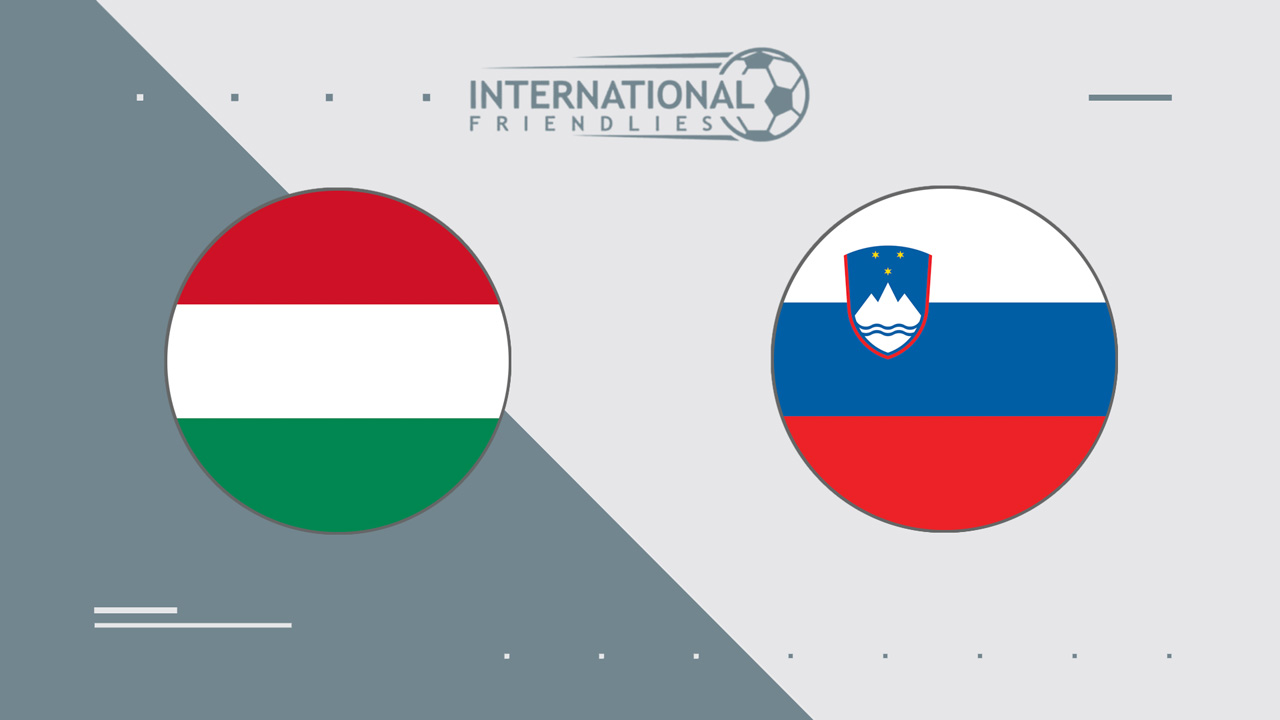 Hungary vs Slovenia poster
