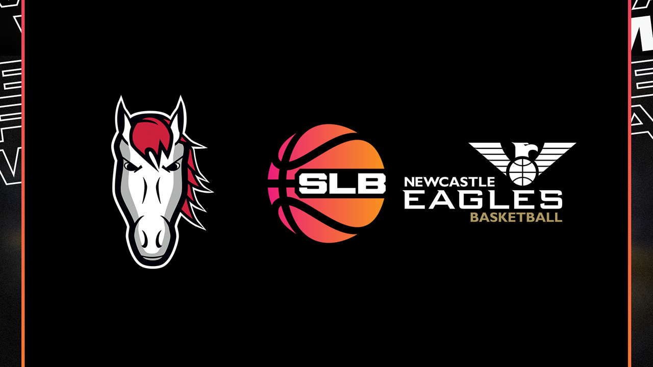 Leicester Riders vs Newcastle Eagles poster