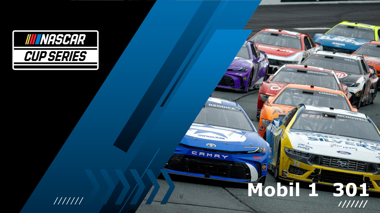 Mobil 1 301 image