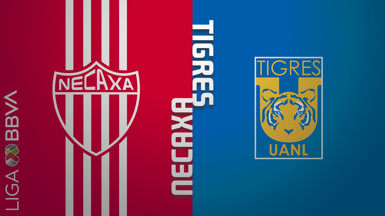 Necaxa vs Tigres poster