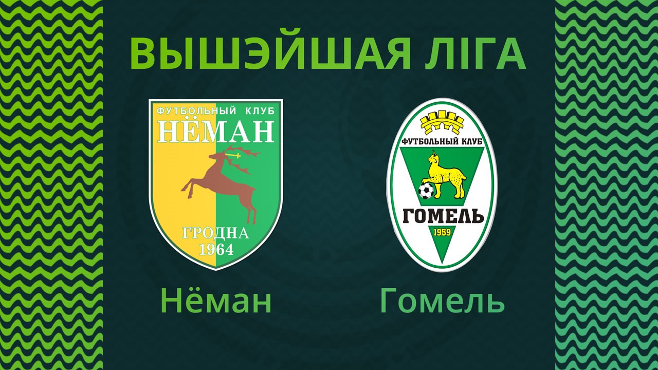 Neman Grodno vs Gomel poster
