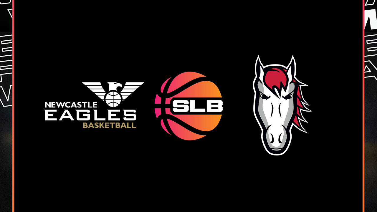 Newcastle Eagles vs Leicester Riders poster