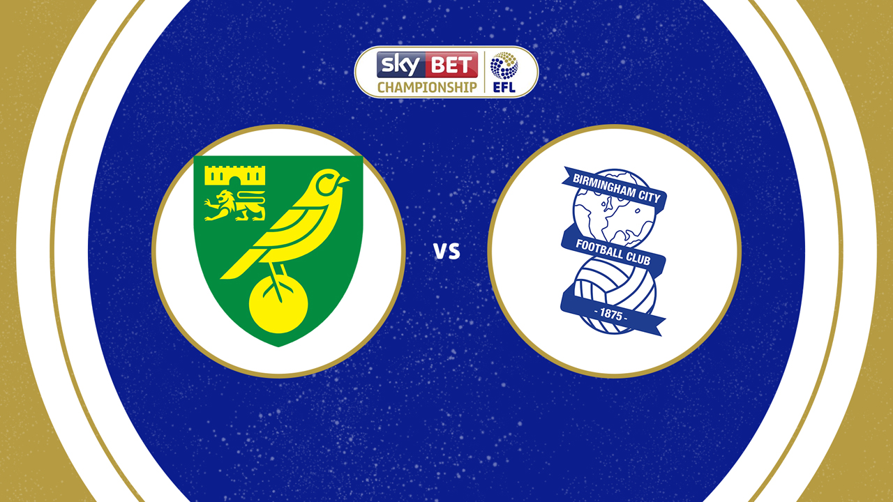 Norwich City vs Birmingham City poster