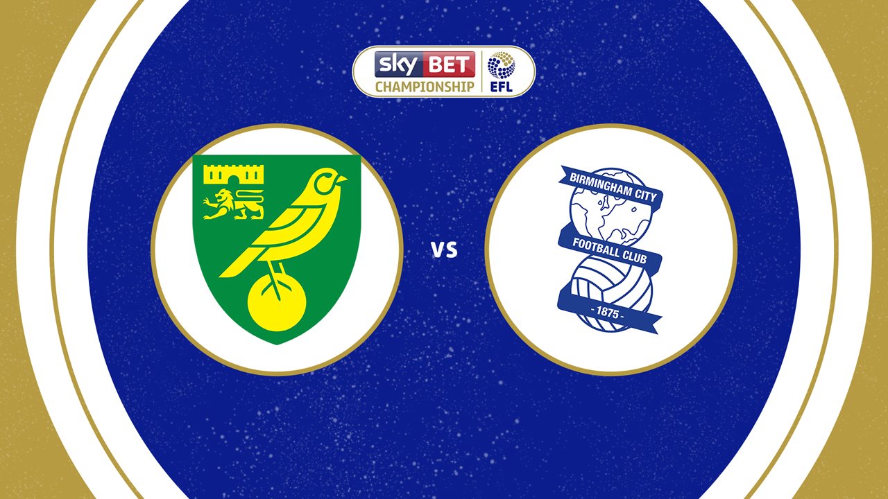 Norwich City vs Birmingham City poster