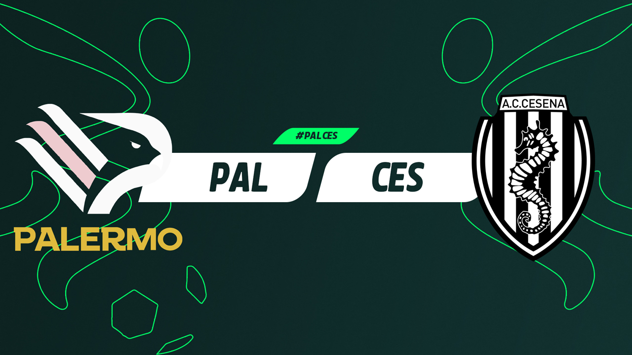 Palermo vs Cesena poster