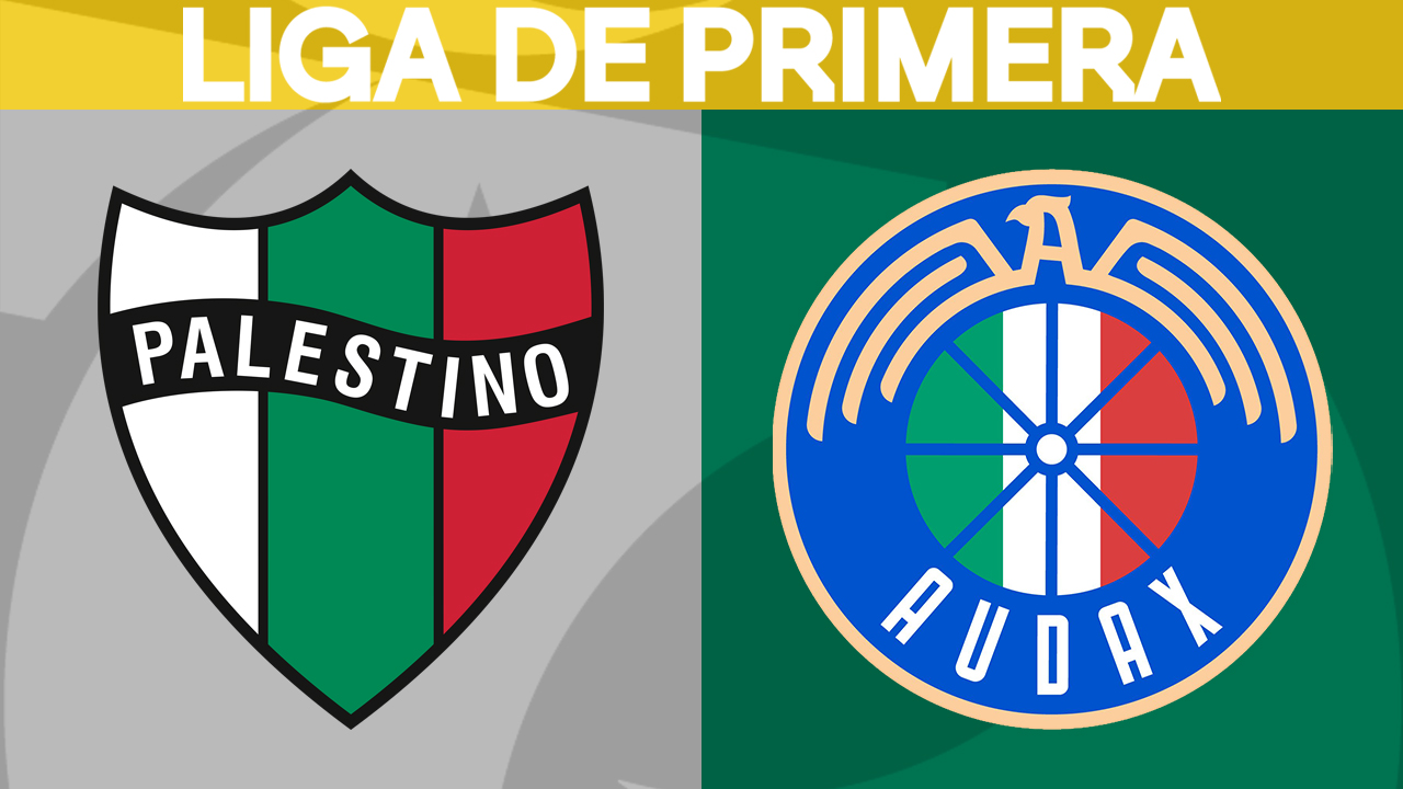 Palestino vs Audax Italiano poster
