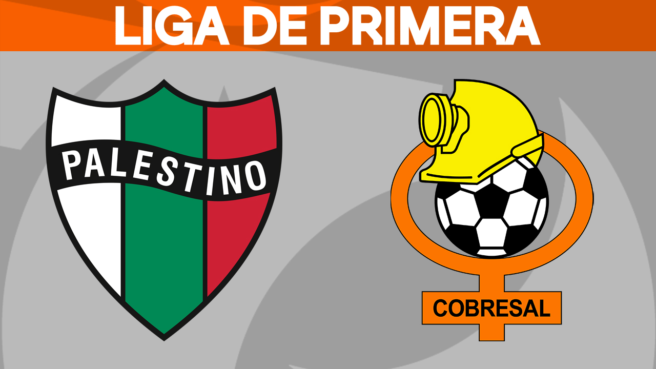 Palestino vs Cobresal poster