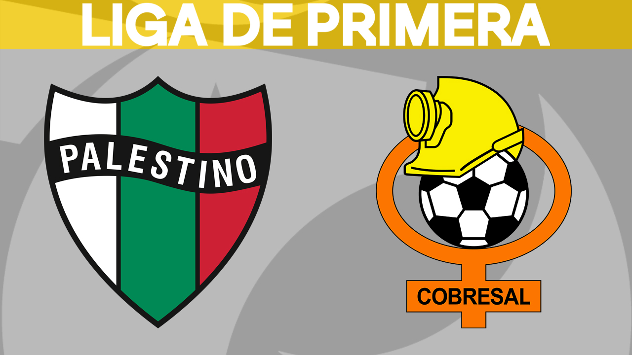 Palestino vs Cobresal poster