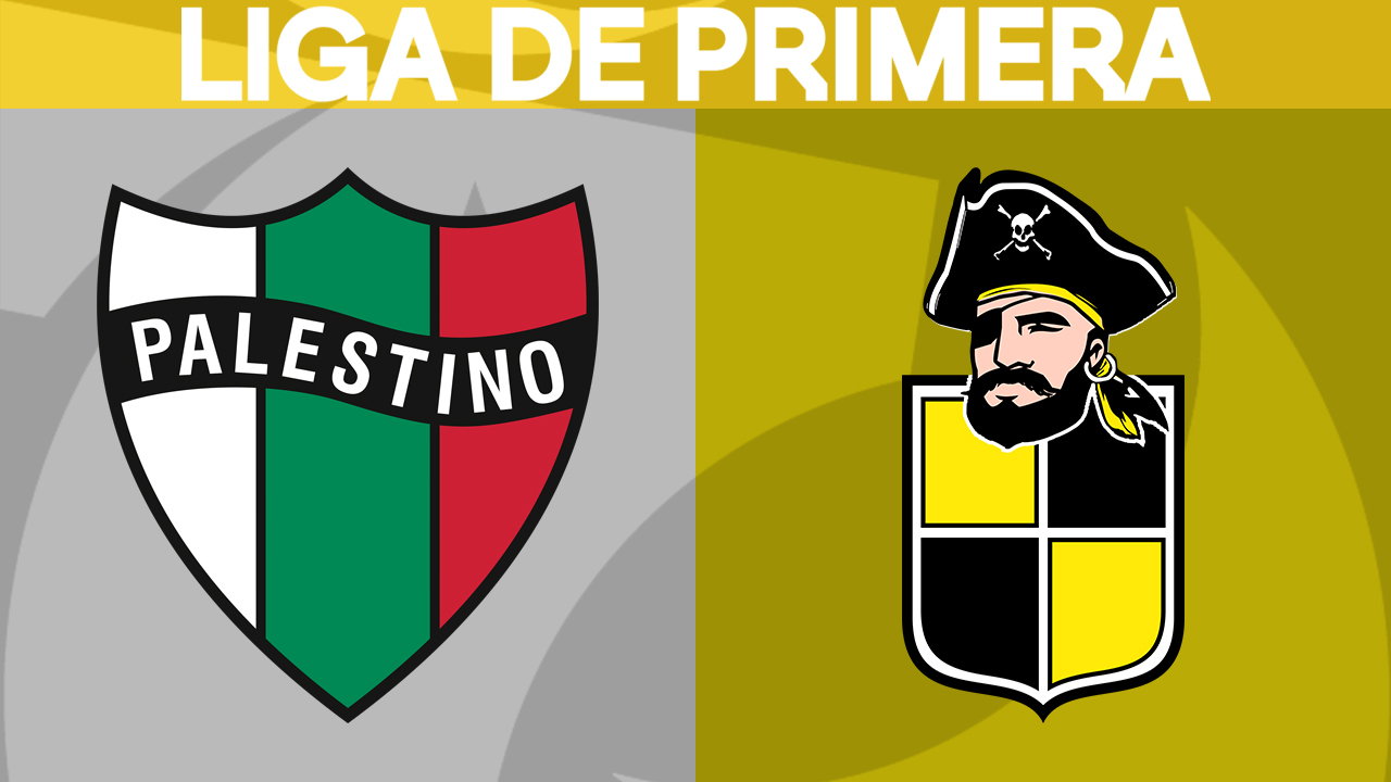 Palestino vs Coquimbo Unido poster