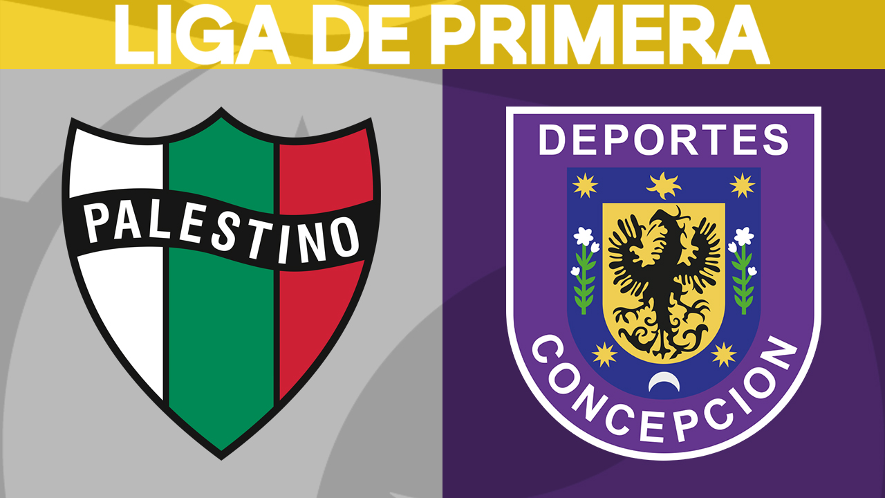 Palestino vs Deportes Concepción poster