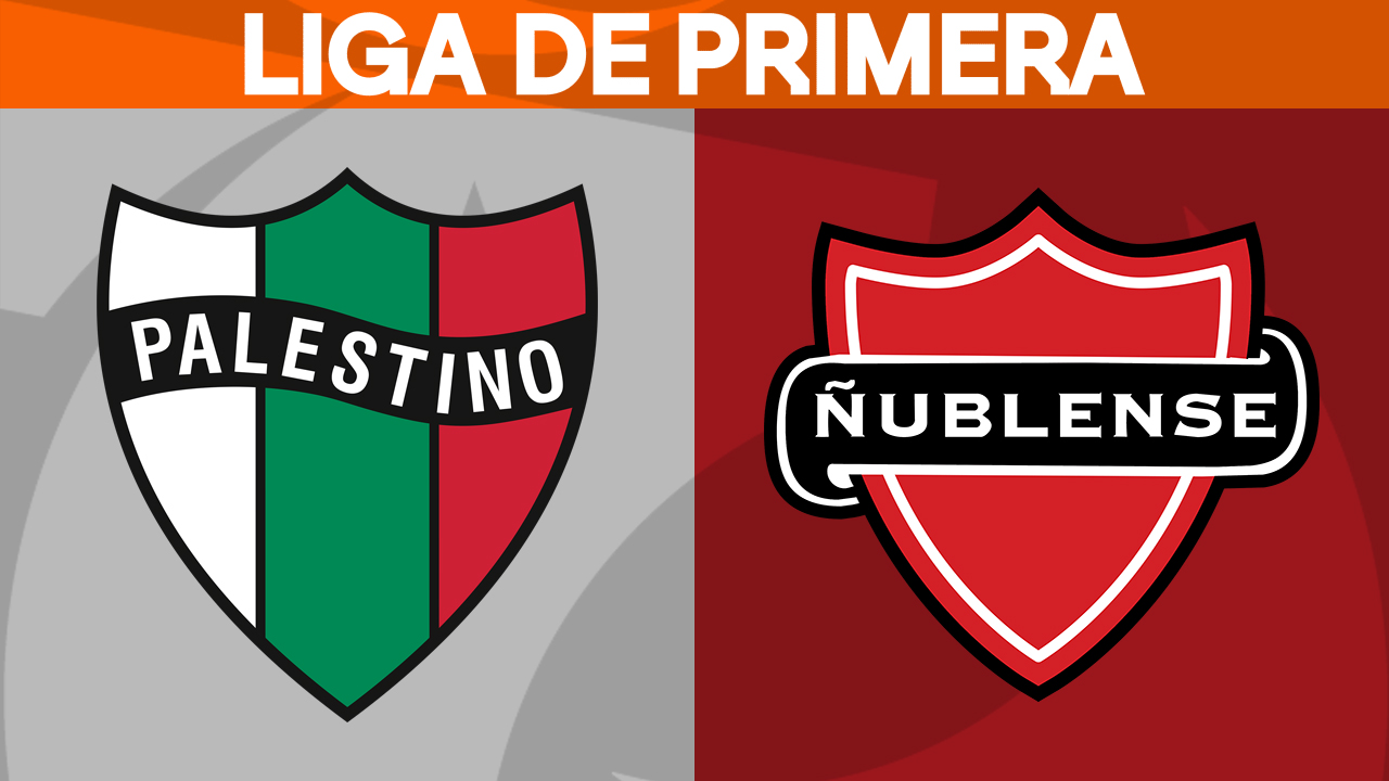 Palestino vs Ñublense poster