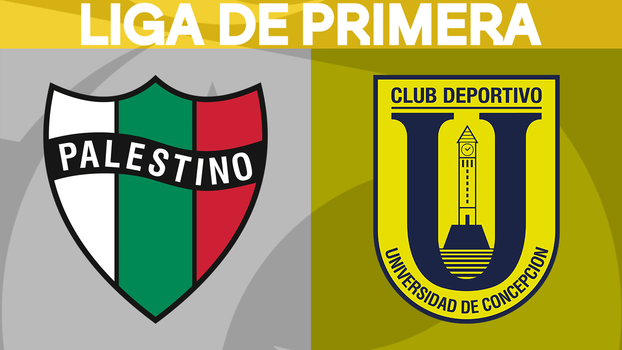 Palestino vs Universidad de Concepción poster