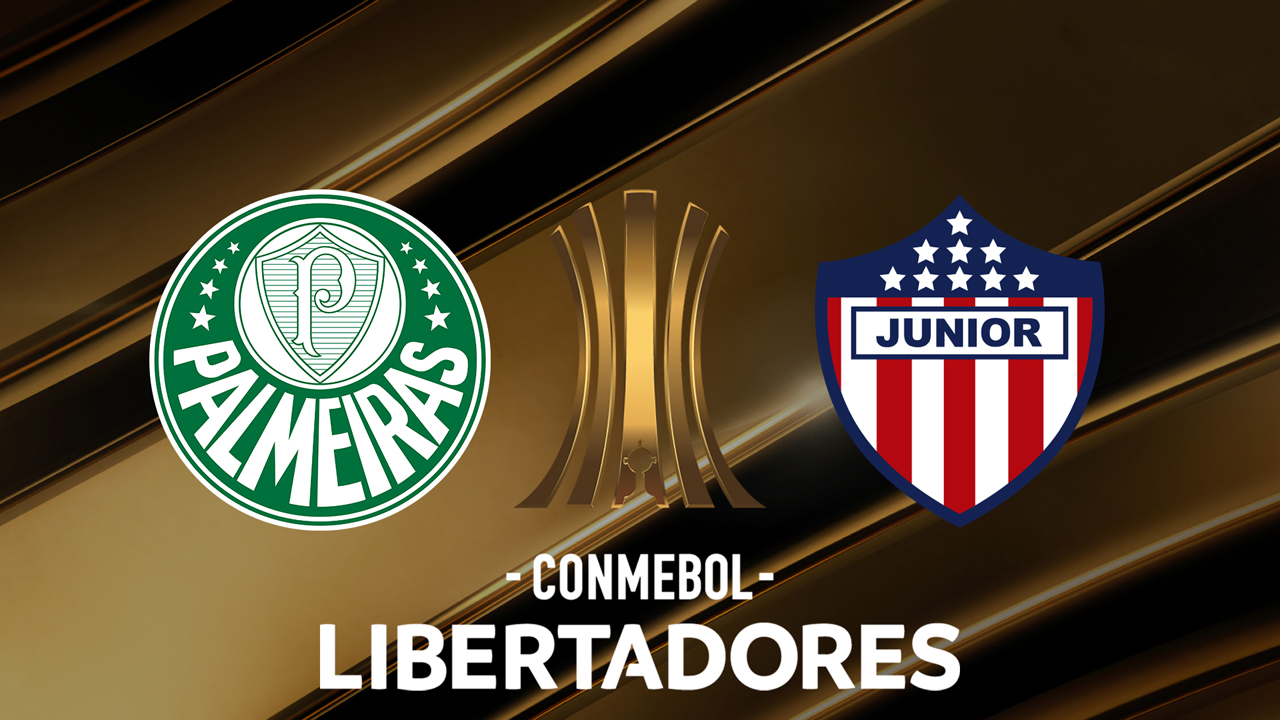 Palmeiras vs Atlético Junior poster