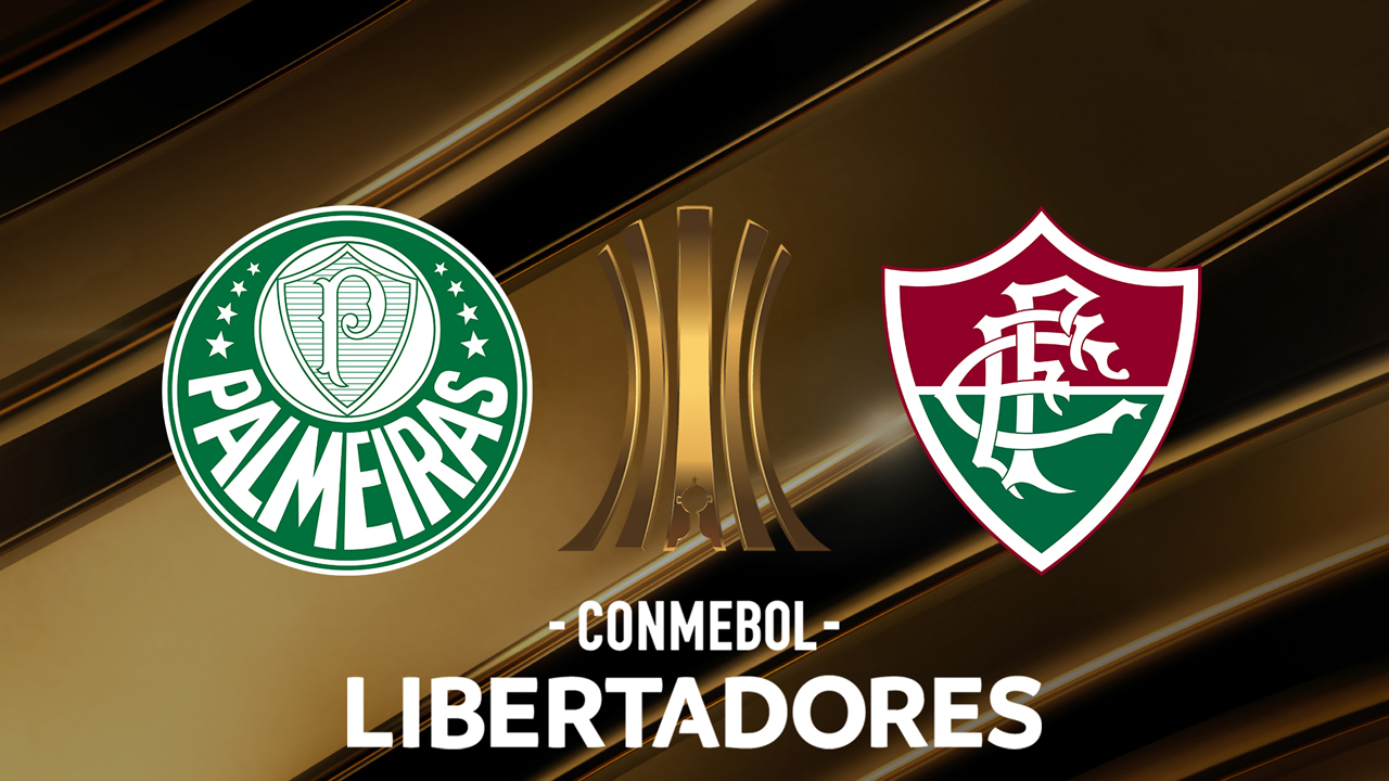 Palmeiras vs Fluminense poster