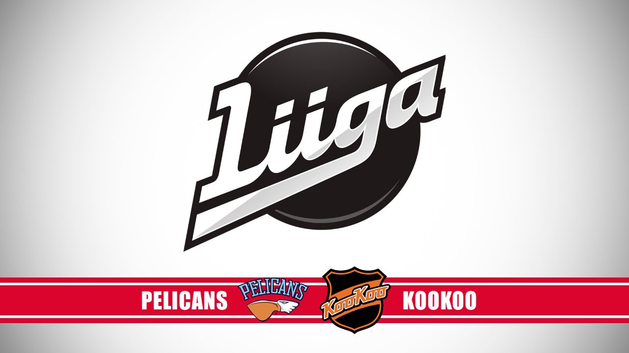 Pelicans vs KooKoo poster