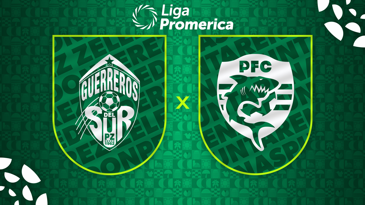 Pérez Zeledón vs Puntarenas poster