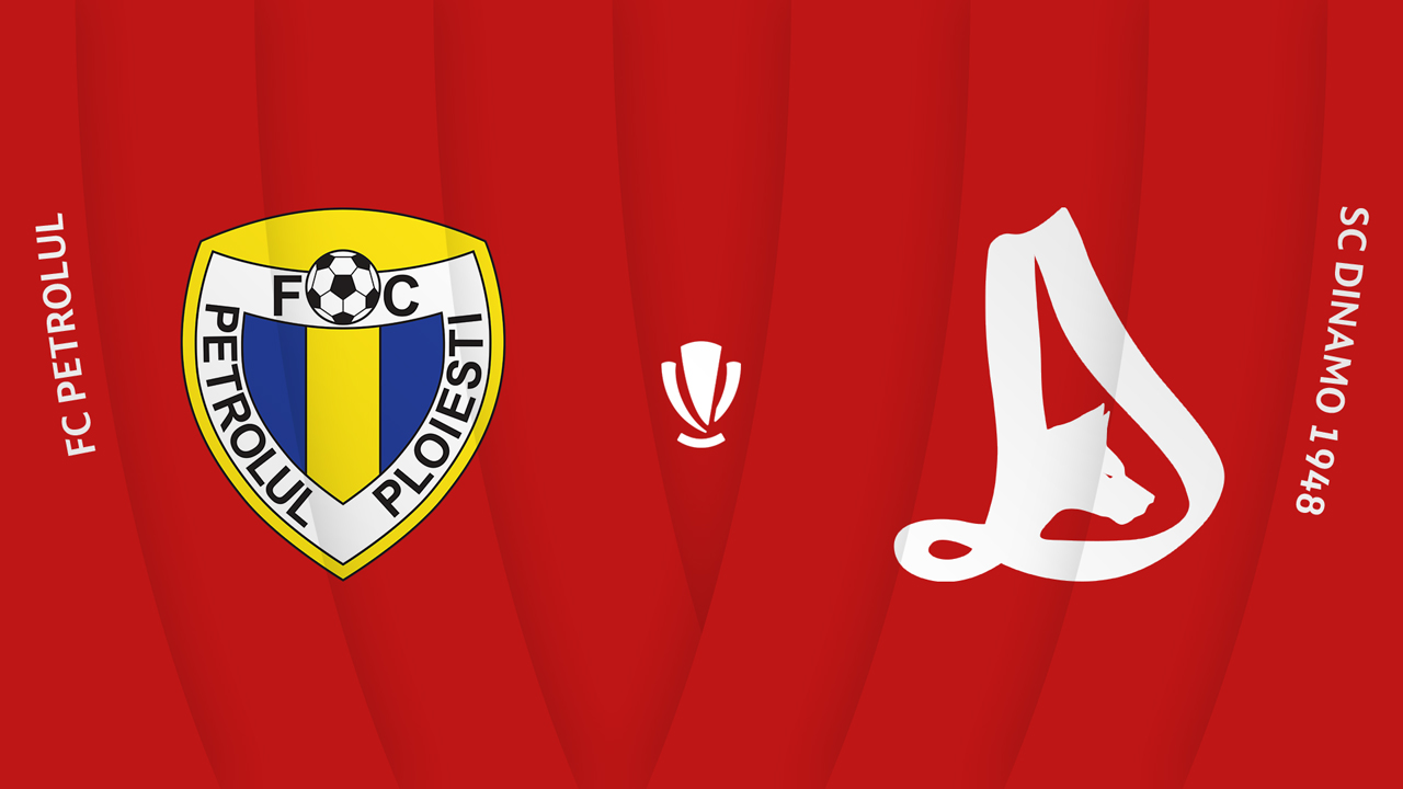 Petrolul Ploiești vs Dinamo București poster