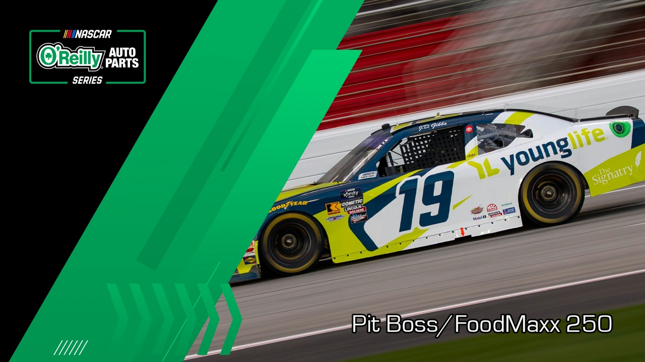 Pit Boss/FoodMaxx 250 image