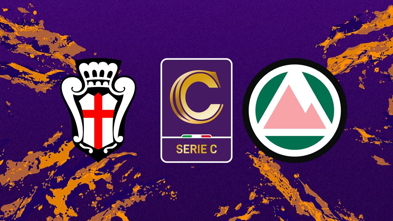 Pro Vercelli vs Dolomiti Bellunesi poster