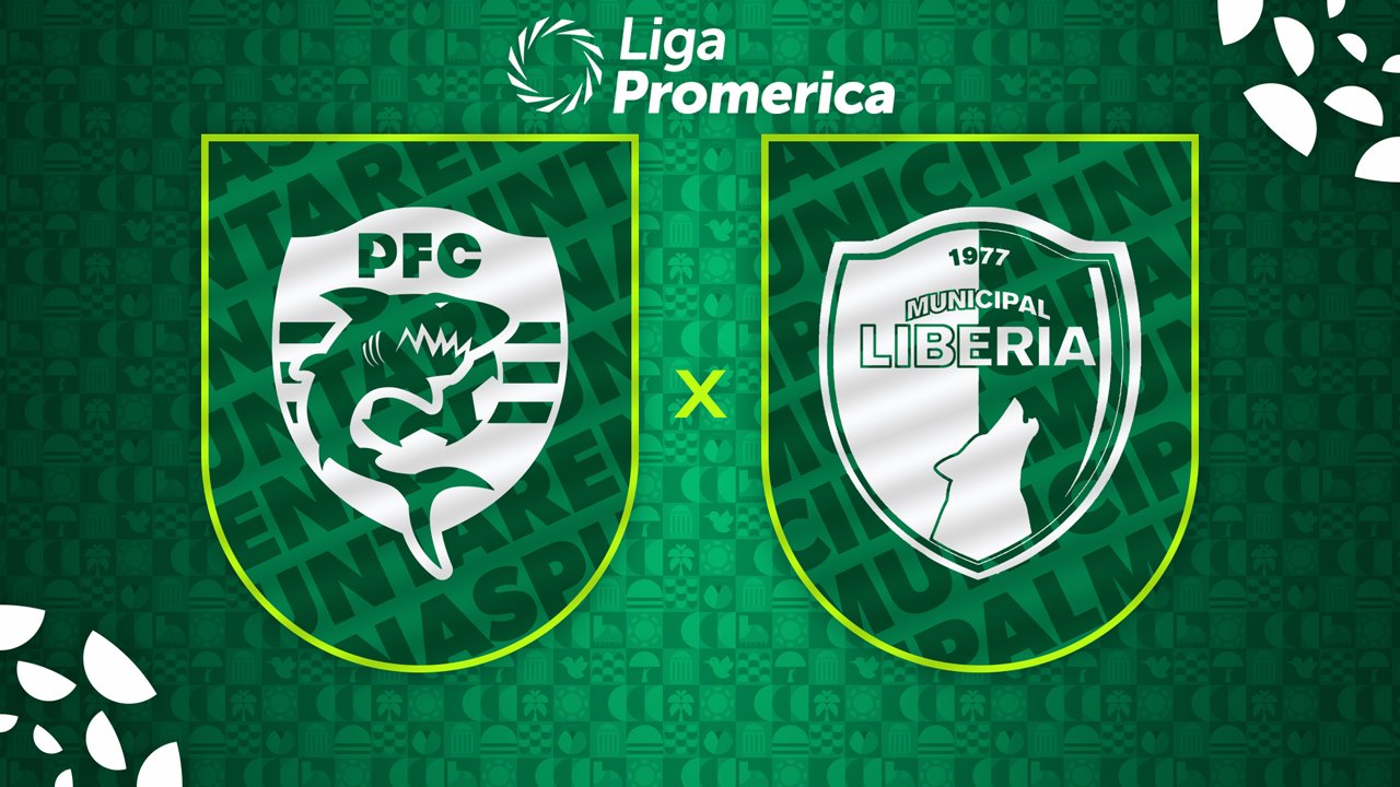 Puntarenas vs Municipal Liberia poster