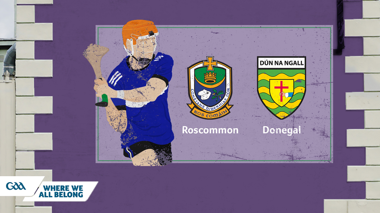 Roscommon GAA Hurling vs Donegal GAA Hurling poster
