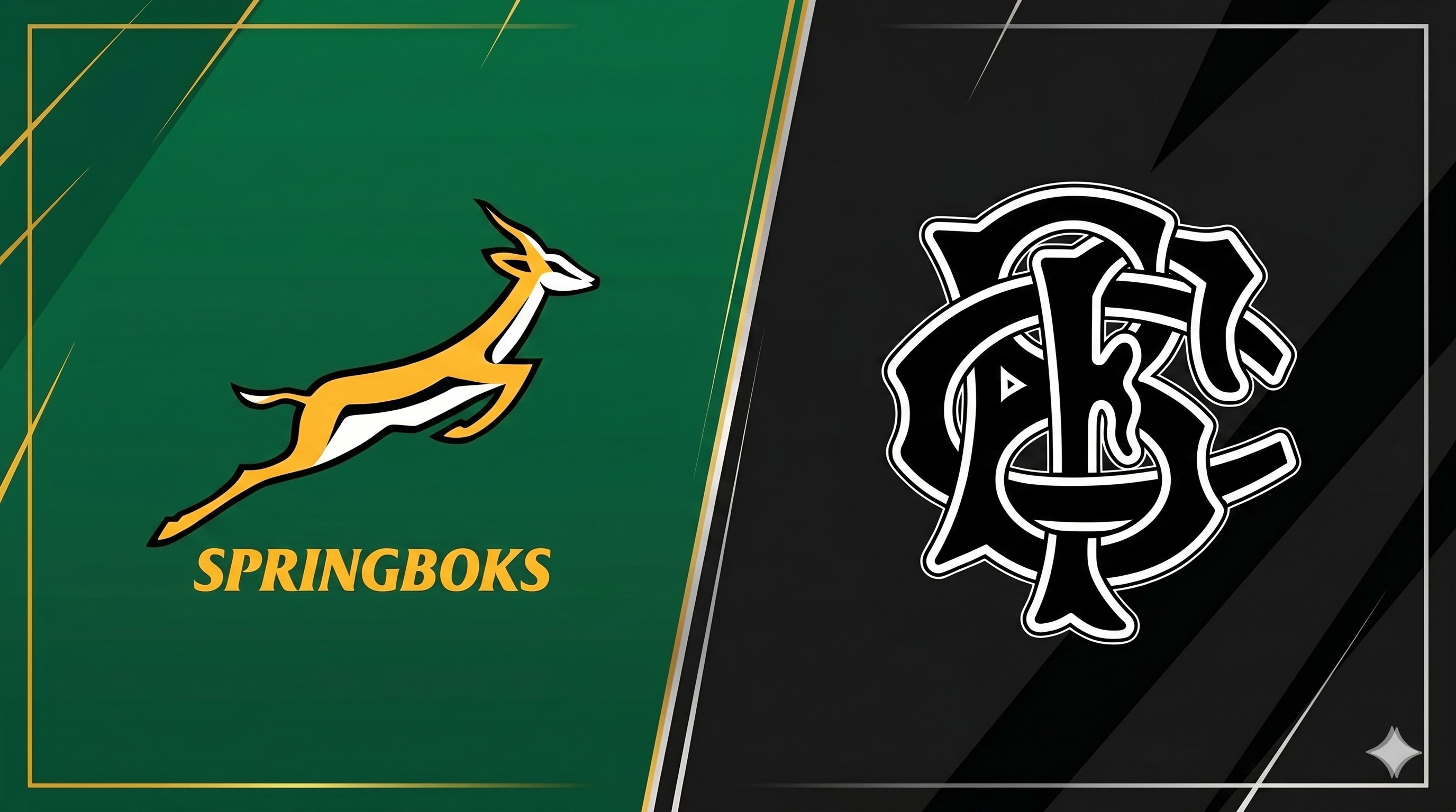 South Africa Rugby vs Barbarians poster