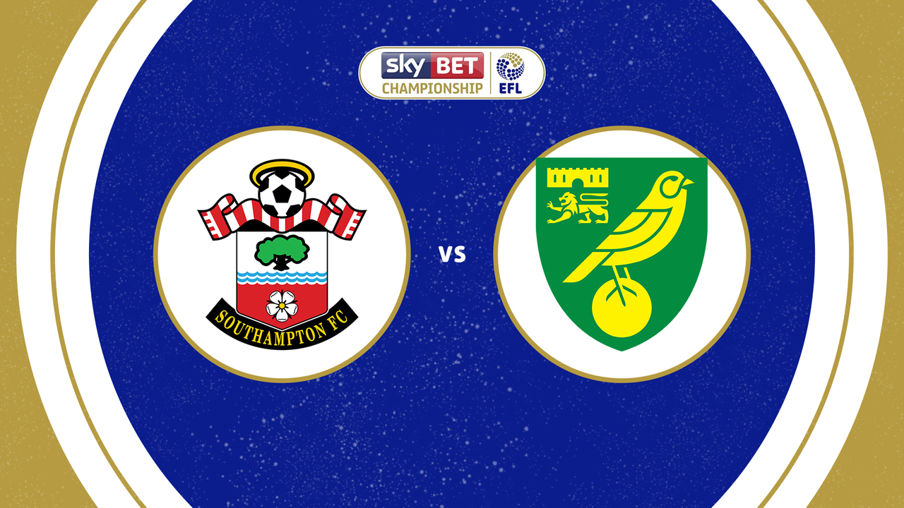 Southampton vs Norwich City poster