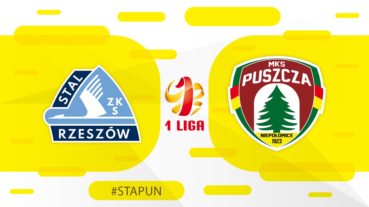 Stal Rzeszów vs Puszcza Niepołomice poster