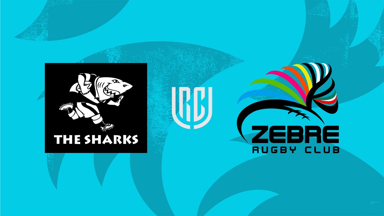 The Sharks vs Zebre poster