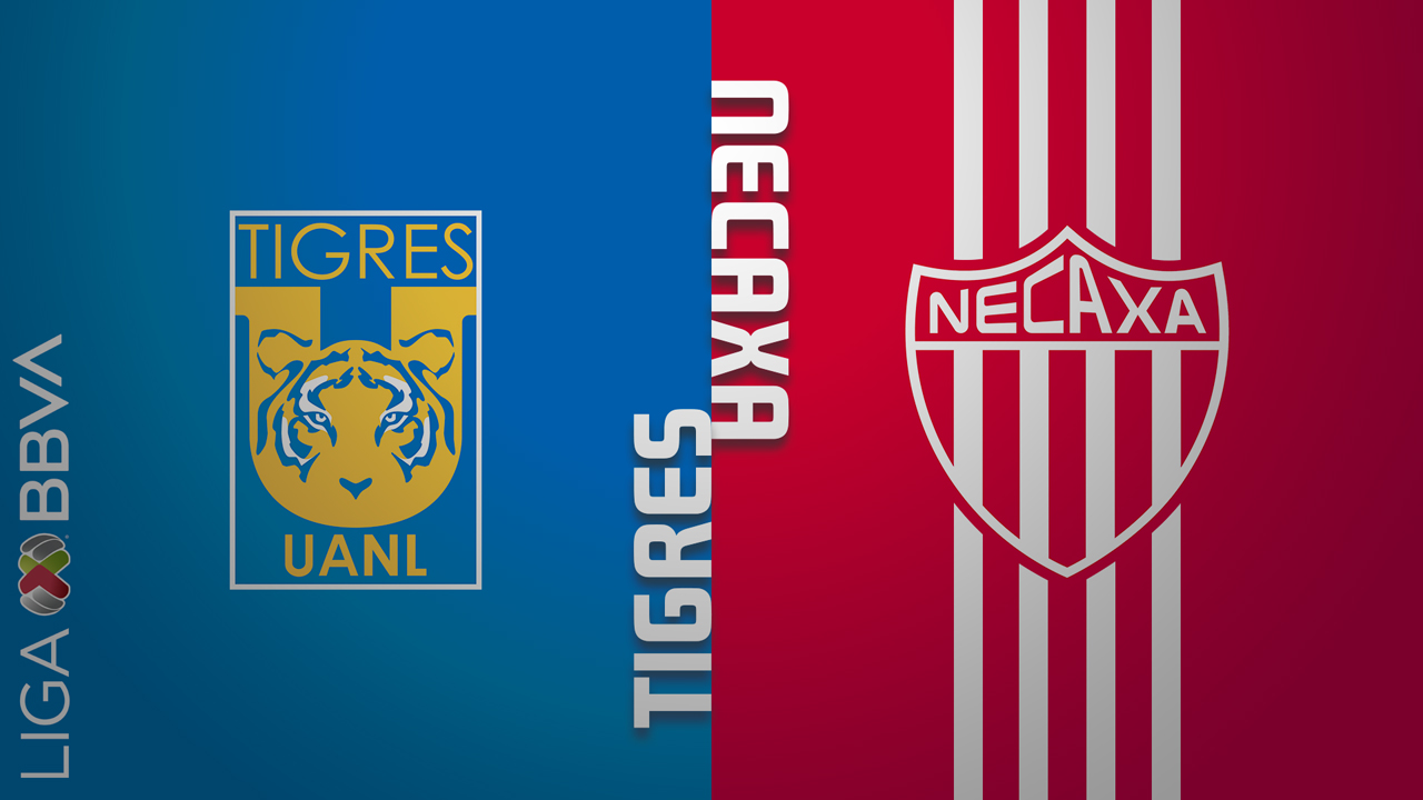 Tigres UANL vs Necaxa poster