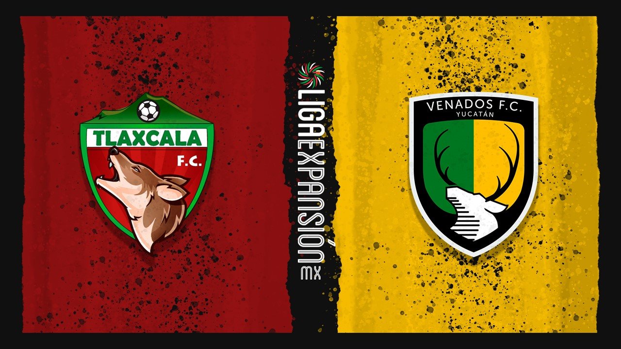 Tlaxcala vs Venados poster