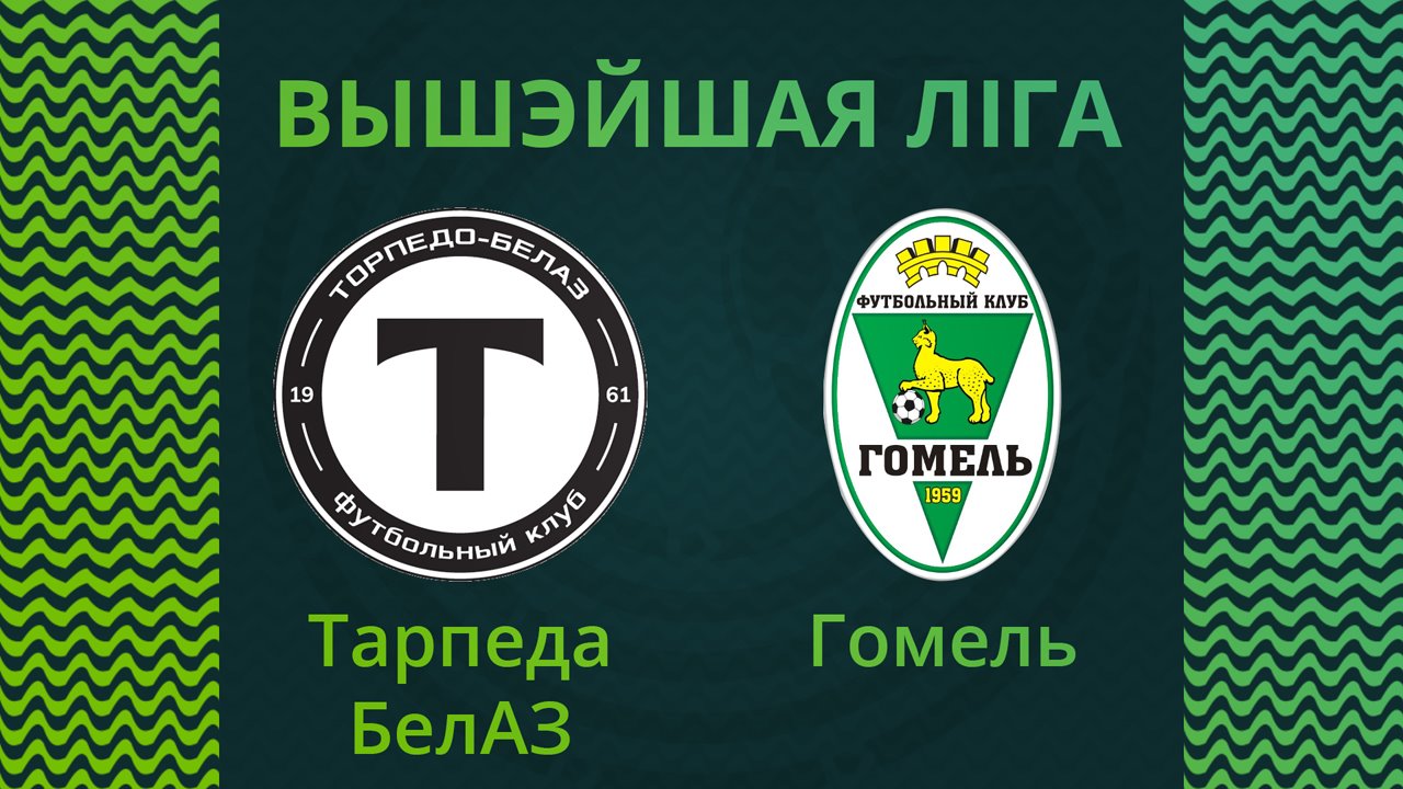 Torpedo-BelAZ Zhodino vs Gomel poster