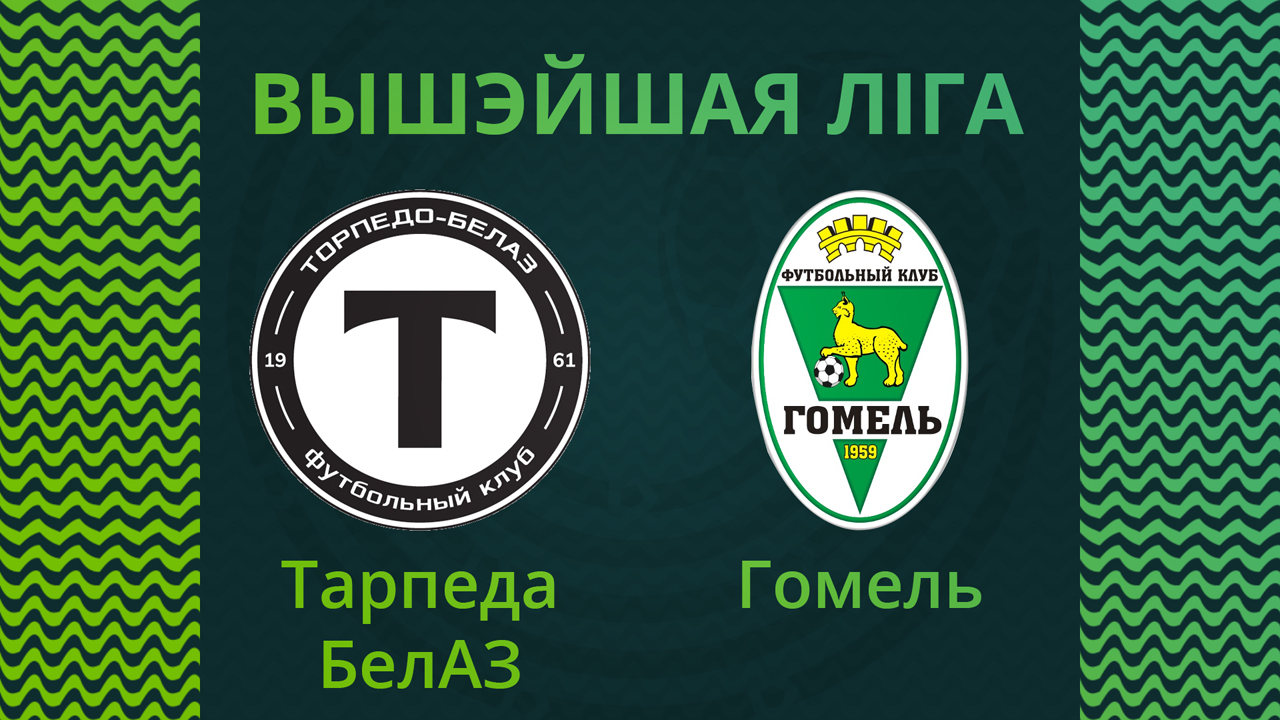 Torpedo-BelAZ Zhodino vs Gomel poster
