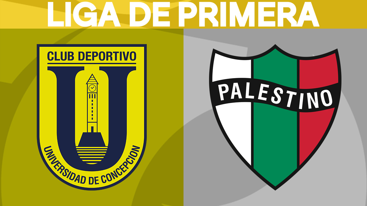 Universidad de Concepción vs Palestino poster