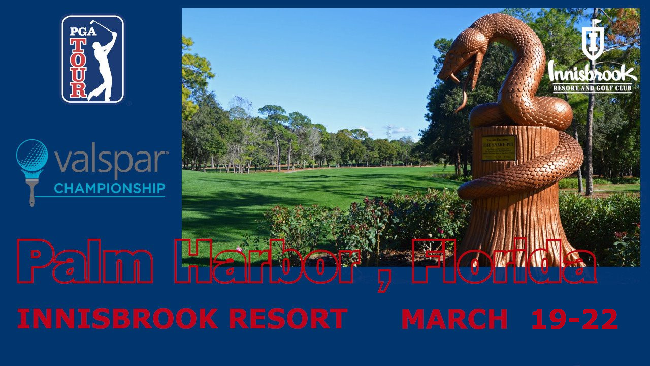 Valspar Championship image