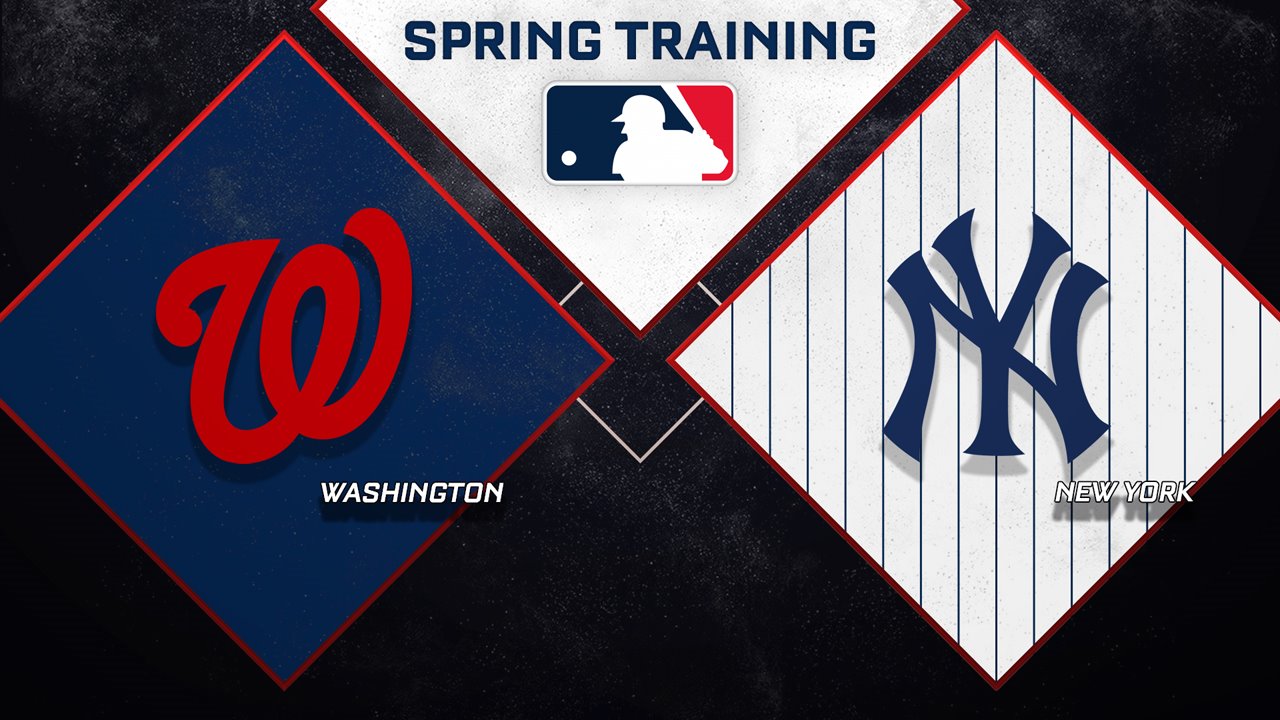 Washington Nationals vs New York Yankees poster