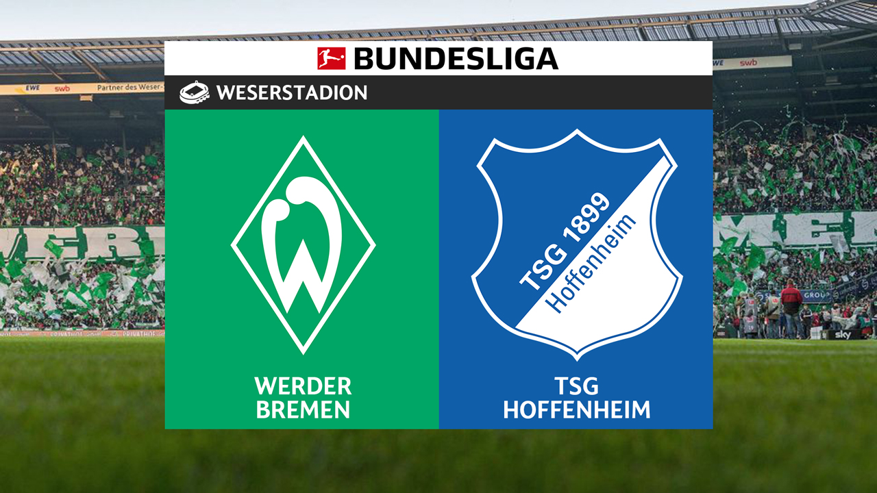 Werder Bremen vs Hoffenheim poster