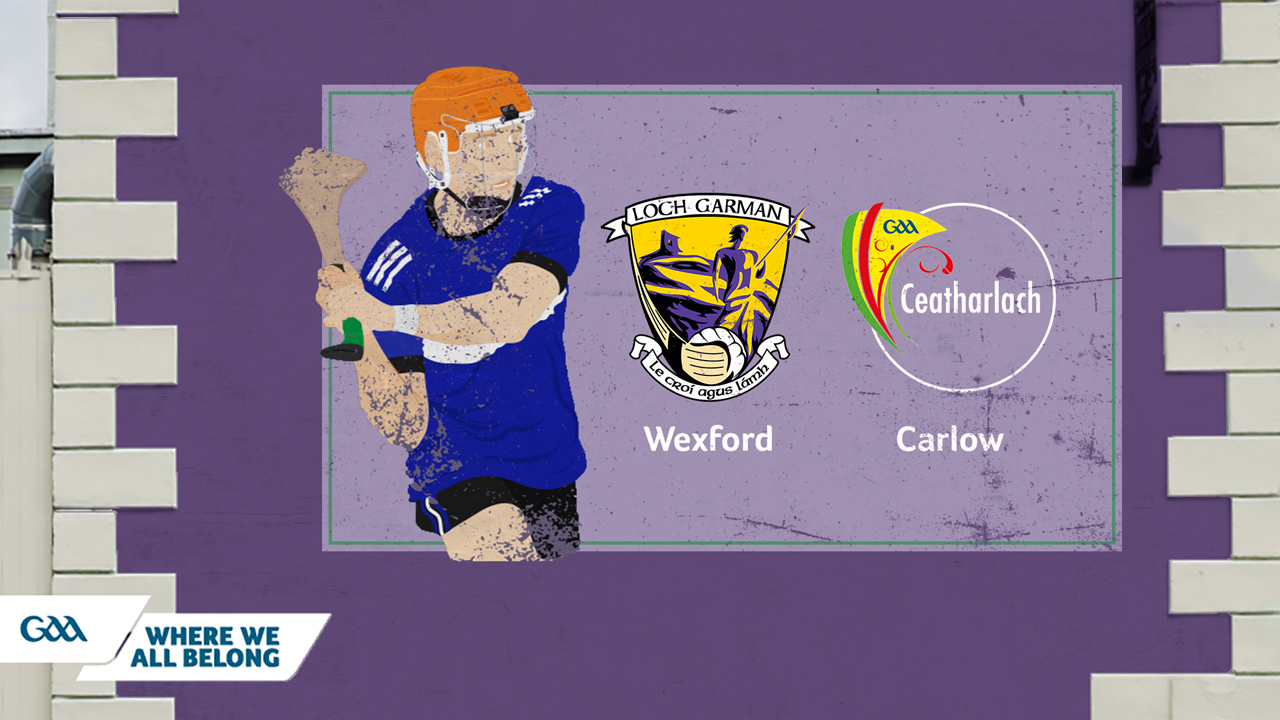 Wexford GAA Hurling vs Carlow GAA Hurling poster