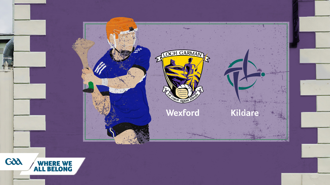 Wexford GAA Hurling vs Kildare GAA Hurling poster