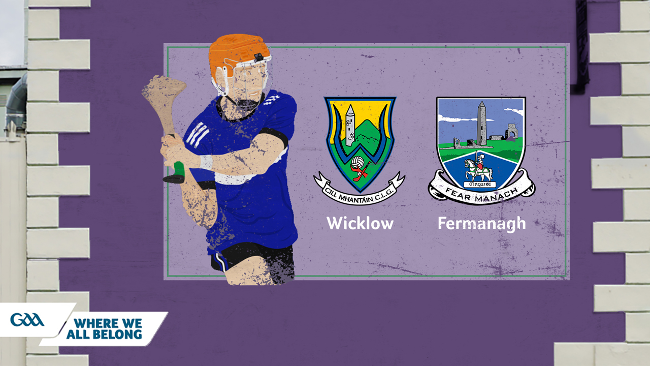 Wicklow GAA Hurling vs Fermanagh GAA Hurling poster