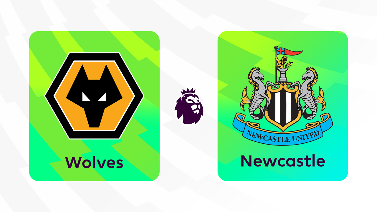Wolverhampton Wanderers vs Newcastle United poster