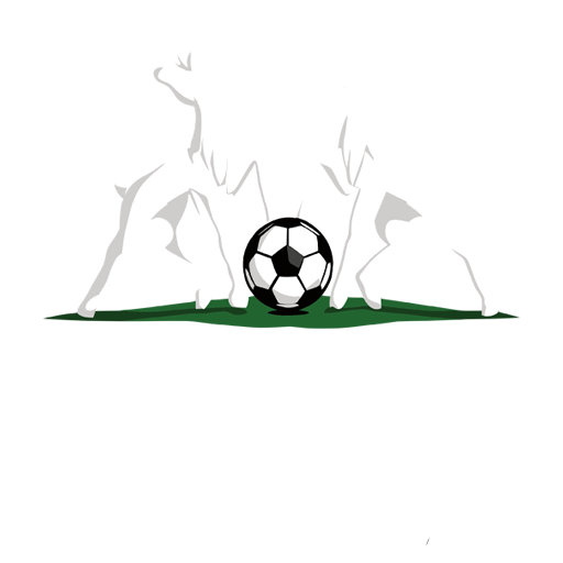 Antigua and Barbuda Premier League logo