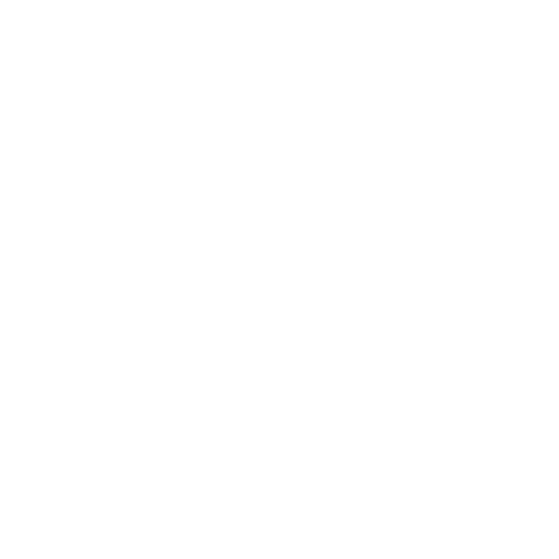 Australia FFA Cup logo